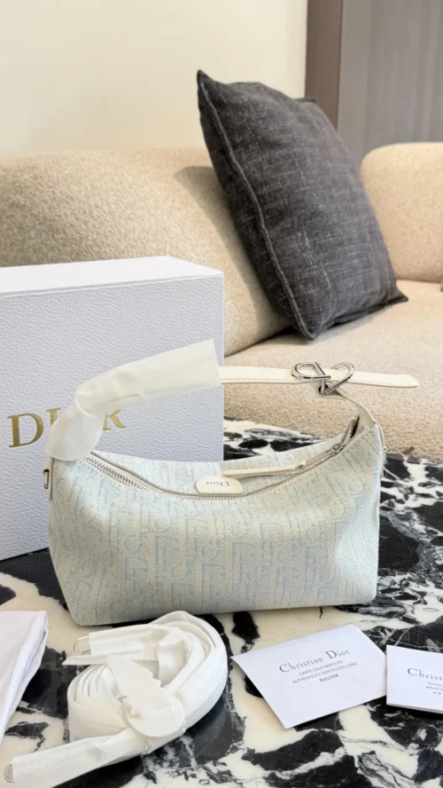 Dior Blue Monogram Bag
