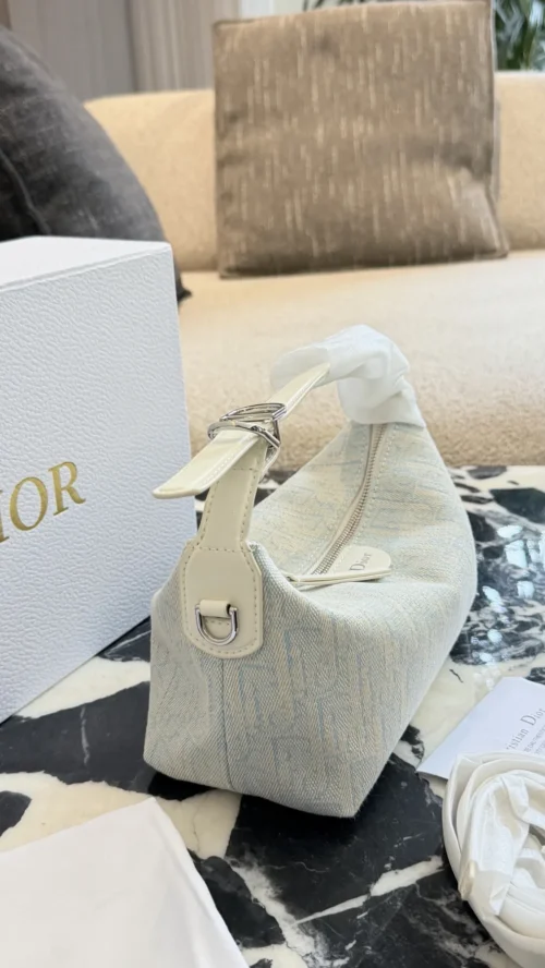 Dior Blue Monogram Bag