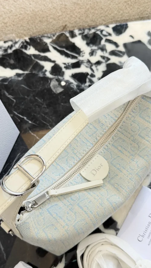 Dior Blue Monogram Bag