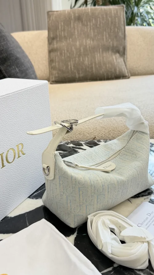 Dior Blue Monogram Bag