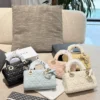 Dior Lady Dior Bag Style 0130