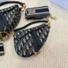 Dior Saddle Monogram Bag
