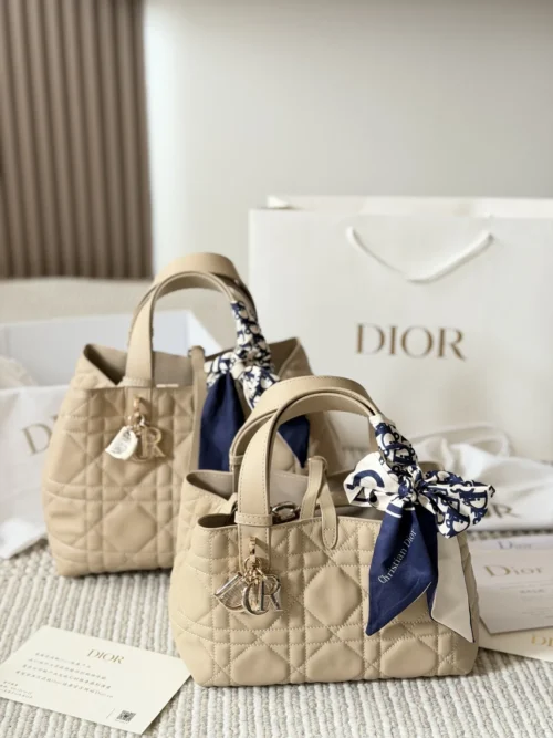 Dior Toujours Leather Bag Style 0212