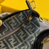 Fendi Bag Style 0152
