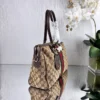 Gucci Bag Style 0224