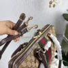 Gucci Bag Style 0224