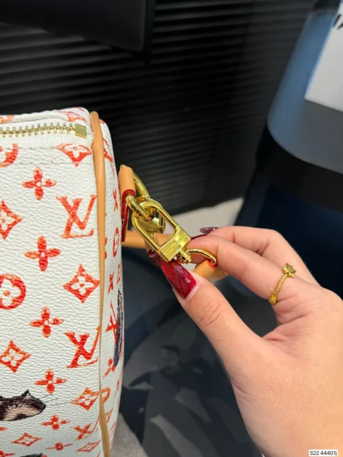 Louis Vuitton Bag Style 0057