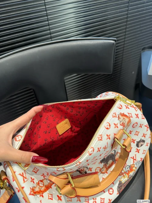 Louis Vuitton Bag Style 0057