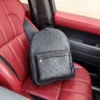 Louis Vuitton Large Backpack