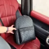 Louis Vuitton Large Backpack