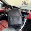 Louis Vuitton Large Backpack