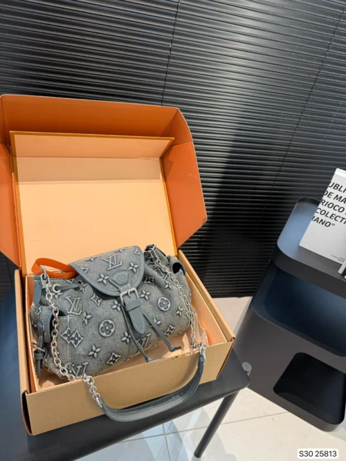 Louis Vuitton Monogram Bag
